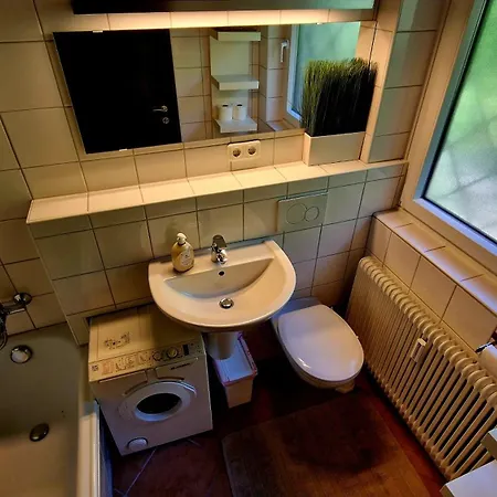 Dachsteinblick *